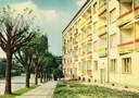 ul. Sienkiewicza  1962r.