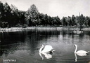 Park Poniatowskiego  1965r.
