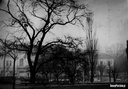 kino Hutnik
