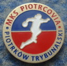MKS Piotrkovia