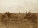 Żniwa