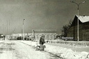 Stadion Piotrcovi