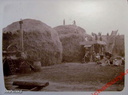 Żuchowice - żniwa