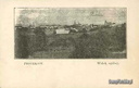 Widok ogólny  1915r.