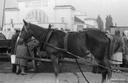 handel 1964r