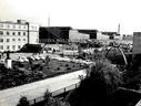 Pioma